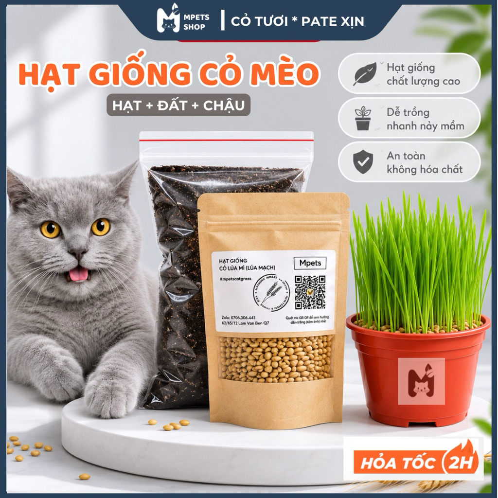 Hạt Giống Cỏ Lúa Mì (Mầm Lúa Mạch) • Cỏ Mèo Cao Cấp 80gr | mPETS