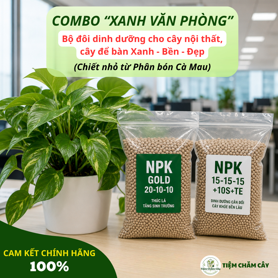 Combo Phân bón Dinh Dưỡng cho Cây Nội Thất, Cây Cảnh Văn Phòng | NPK 20-10-10 + NPK 15-15-15+10S+TE
