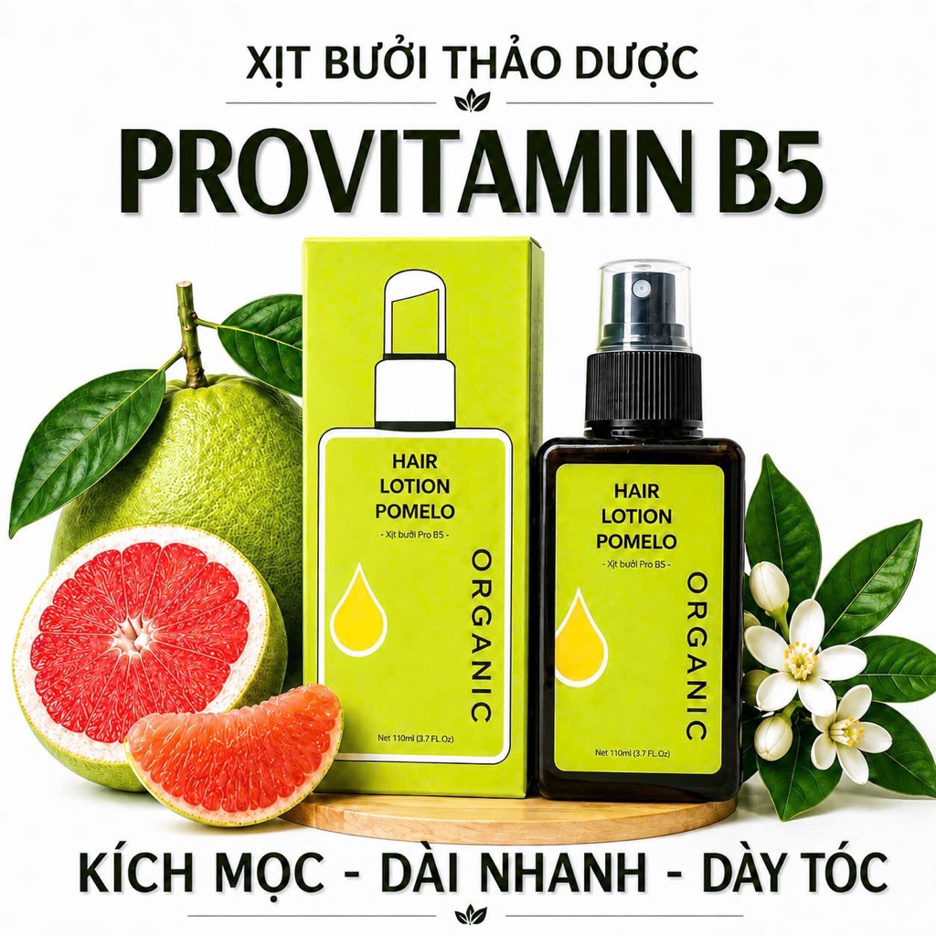 Tinh Dầu Bưởi B5 mọc tóc kích thích sự phát triển của nang tóc giúp tóc chắc khỏe mọc tóc nhanh làm 