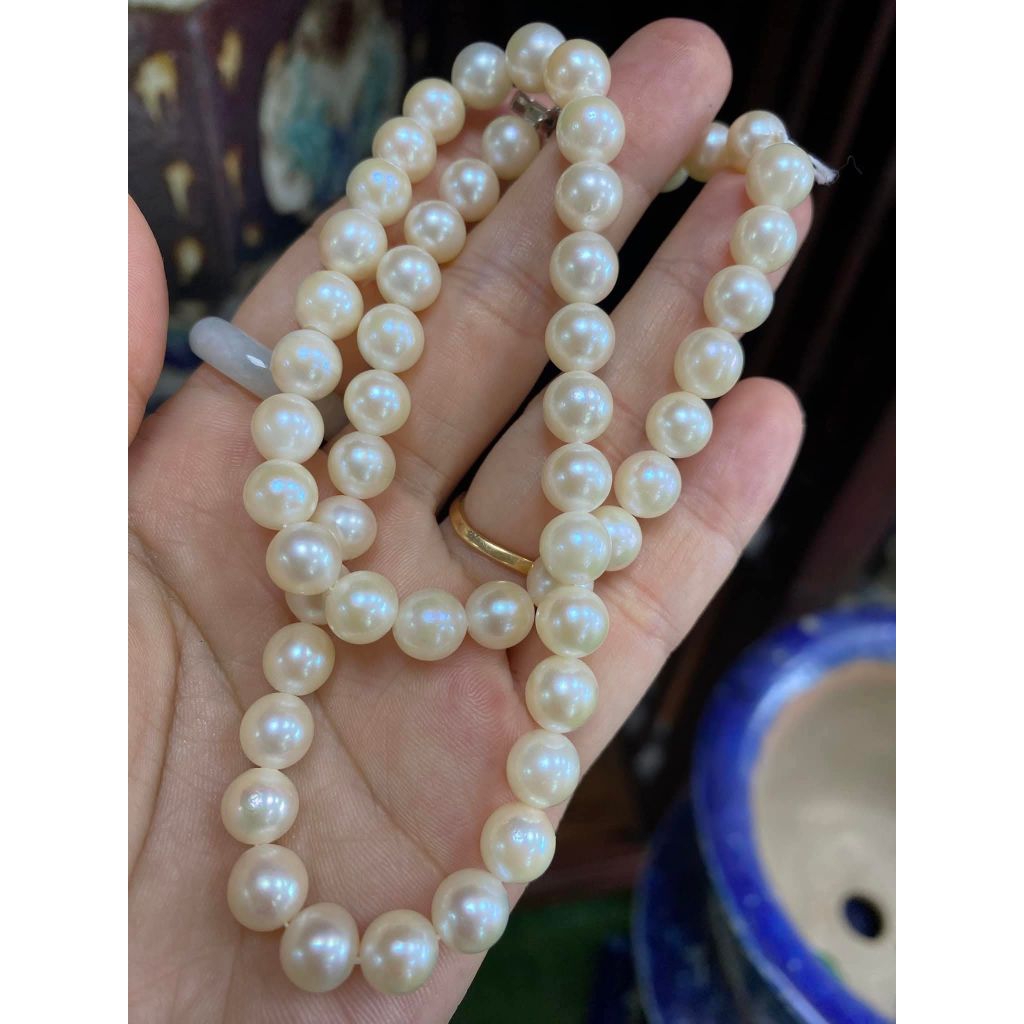Dây chuyền vintage trai mặn  Akoya si nhật