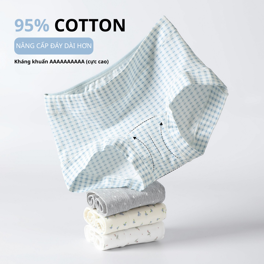 Quần Lót Boxer Nữ Cotton Kháng Khuẩn Syliney Chất Cotton Thoáng Khi, Kháng Khuẩn - QL0028