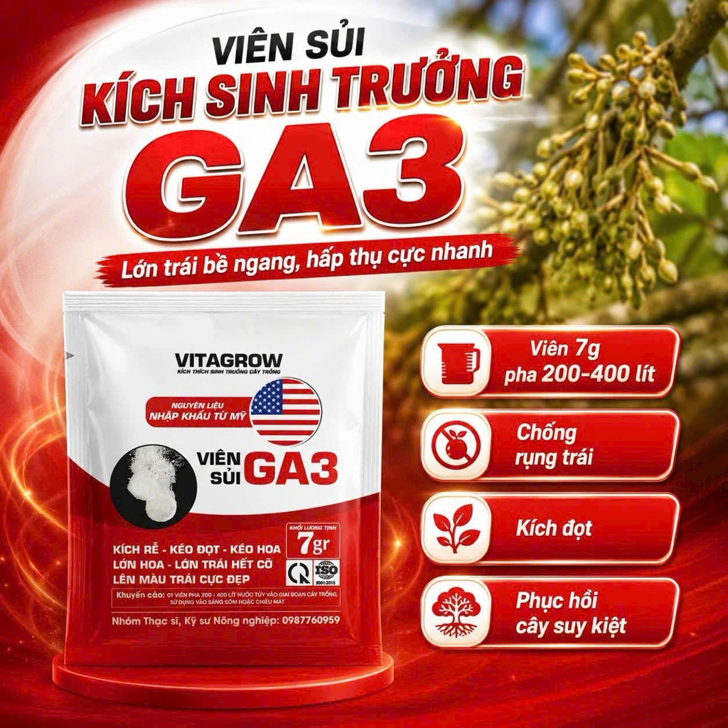 Viên sủi kích sinh trưởng tổng hợp Ga3  viên 7gr hàm lượng  GA3  gấp 5 lần thị trường