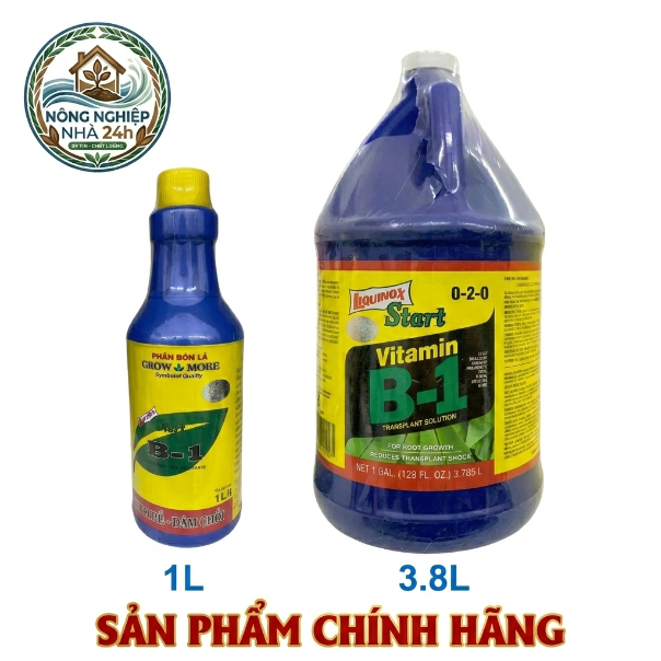 B1 Growmore (1L - 3,8L) – Vitamin B1 Kích Rễ, Chống Sốc, Phục Hồi Cây Trồng, Xanh Lá Mạnh