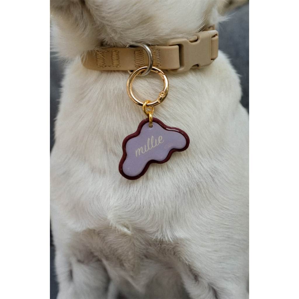 Pet NFC Tag Cá Nhân Hóa - Thẻ NFC Cho Chó Mèo, Móc Khóa Thông Tin Thú Cưng, Quét Xem Liên Hệ Chủ Nuô