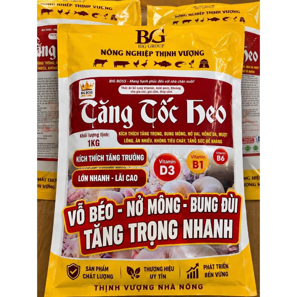 Tăng tốc heo Bigboss
