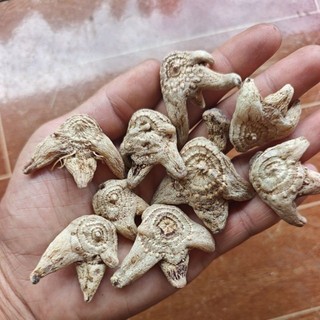 bạch cập 1kg
