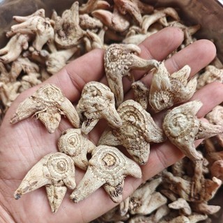 bạch cập 1kg