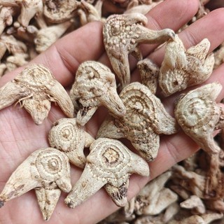 bạch cập 1kg