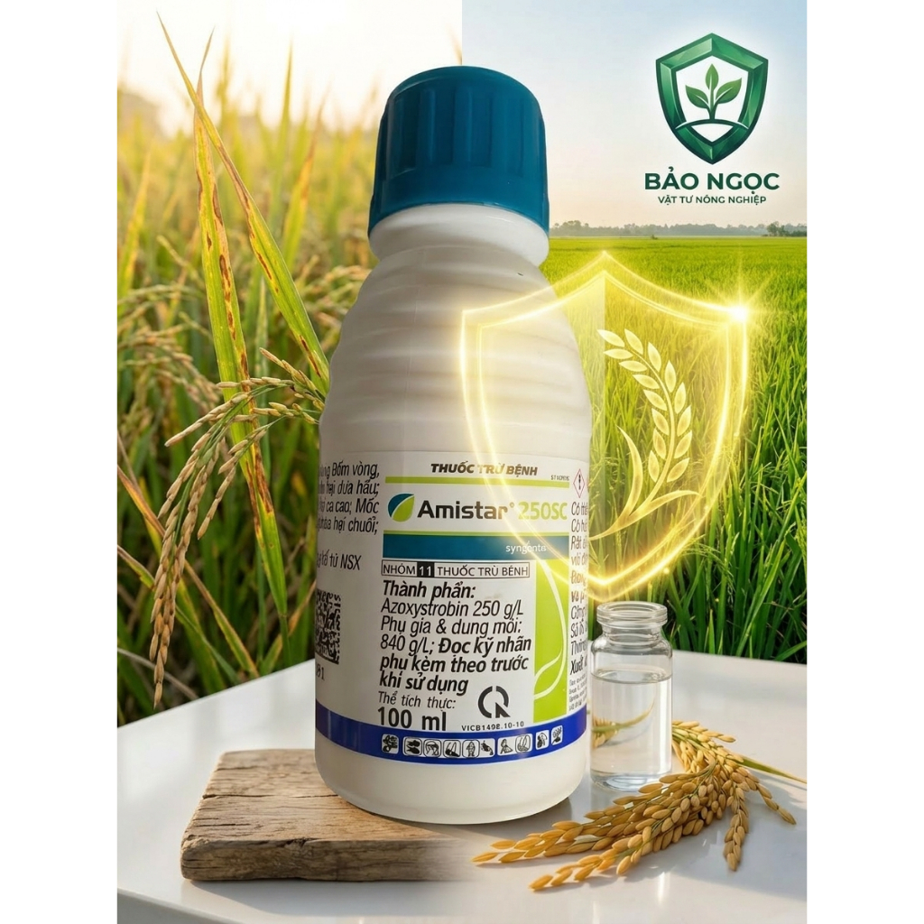 Thuốc trừ bệnh Amistar 250SC Syngenta (100ml) – Đặc trị Đạo ôn, Rỉ sắt, Thối trái.