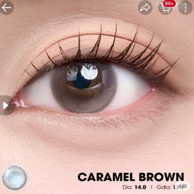 lens 6 tháng vivimoon màu caramel brown