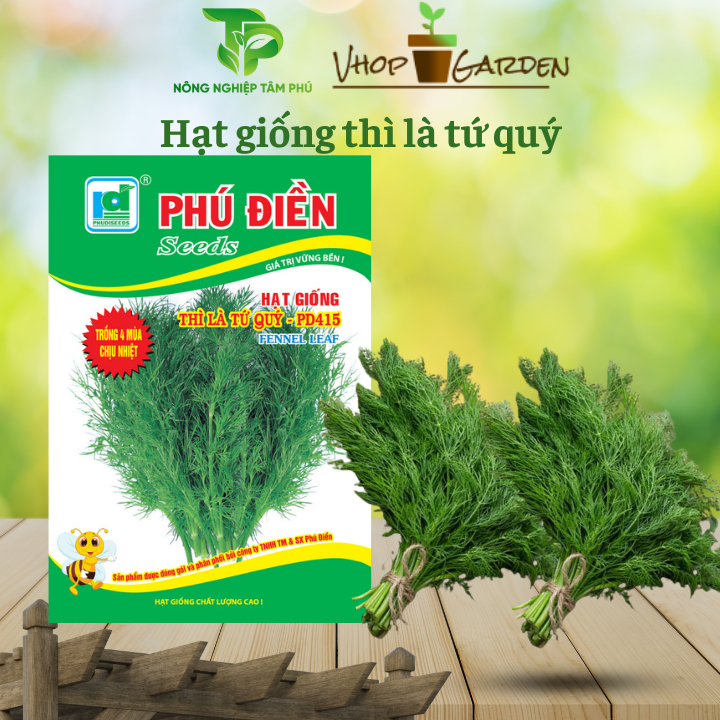 Hạt giống thì là tứ quý – PD415 gói 50gram