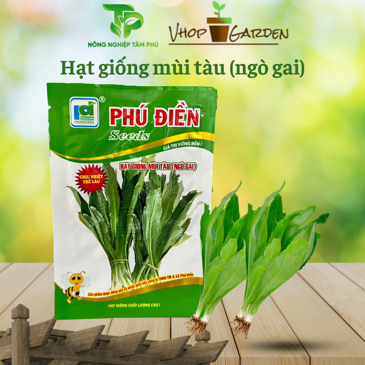 Hạt giống mùi tàu ( Ngò gai) gói 50gram