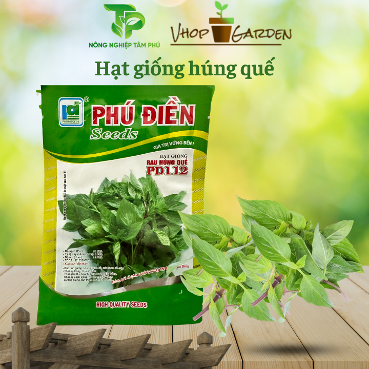 Hạt giống húng quế cao sản gói 10gram