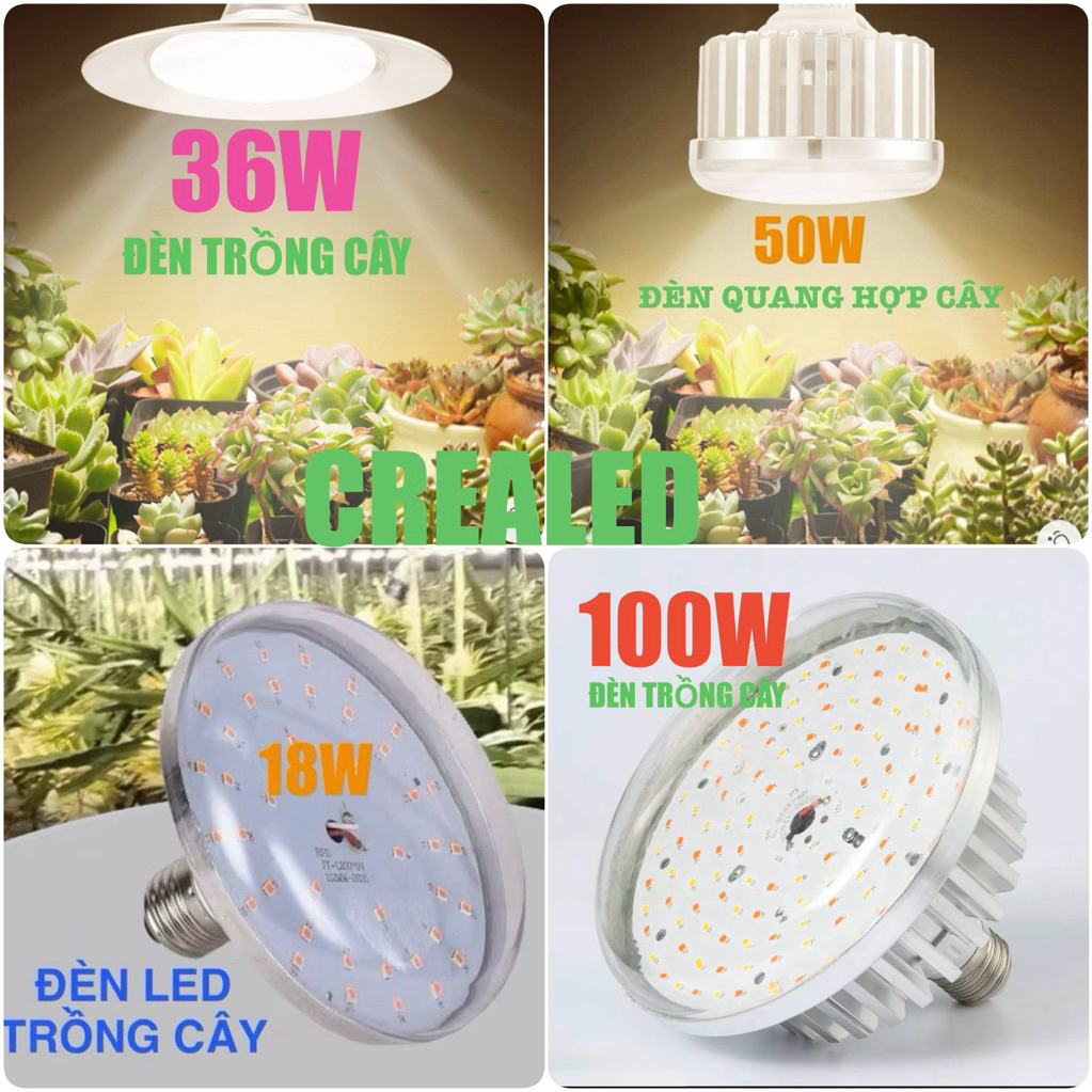 đèn trồng cây đèn quang hợp đèn quang phổ không lo cây thiếu nắng chính hãng crealed