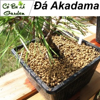 Đá Akadama Nhật Bản (1kg - size 3-6mn)