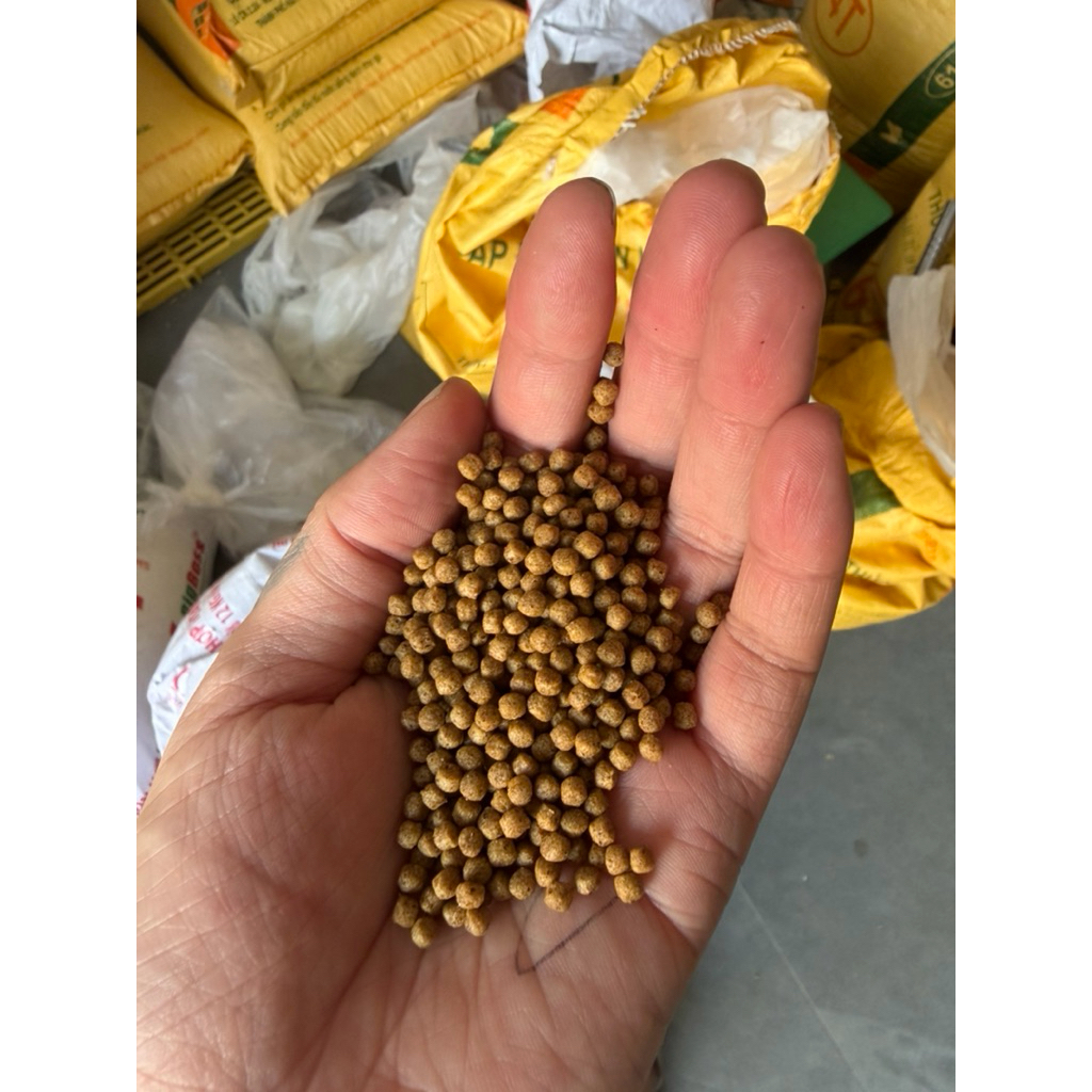 2kg cám cá viên 2ml độ đạm 40