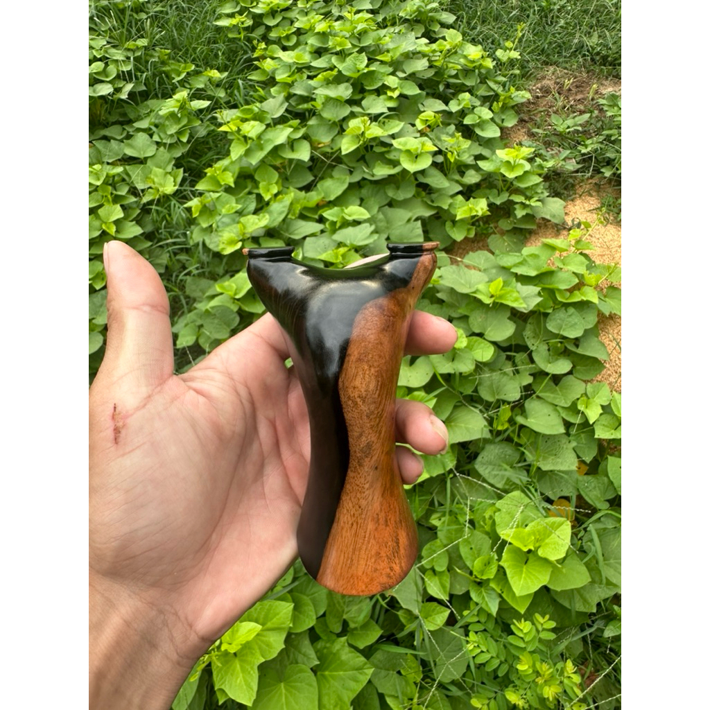 Ná Gỗ Mun Sừng