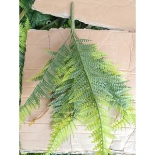 Cây Nhựa Dương Xỉ(không kèm theo chậu cắm)