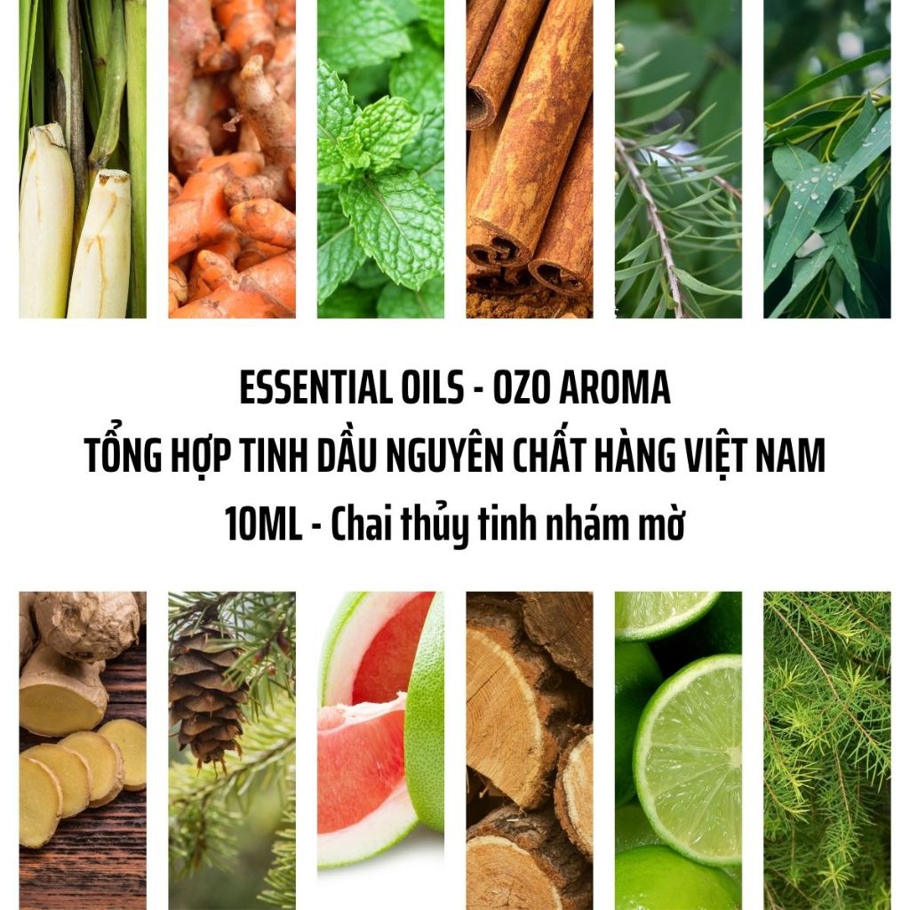 Tinh Dầu Nguyên Chất 10ml - Ozo Aroma - Hàng Việt Nam - Thơm Thiên Nhiên
