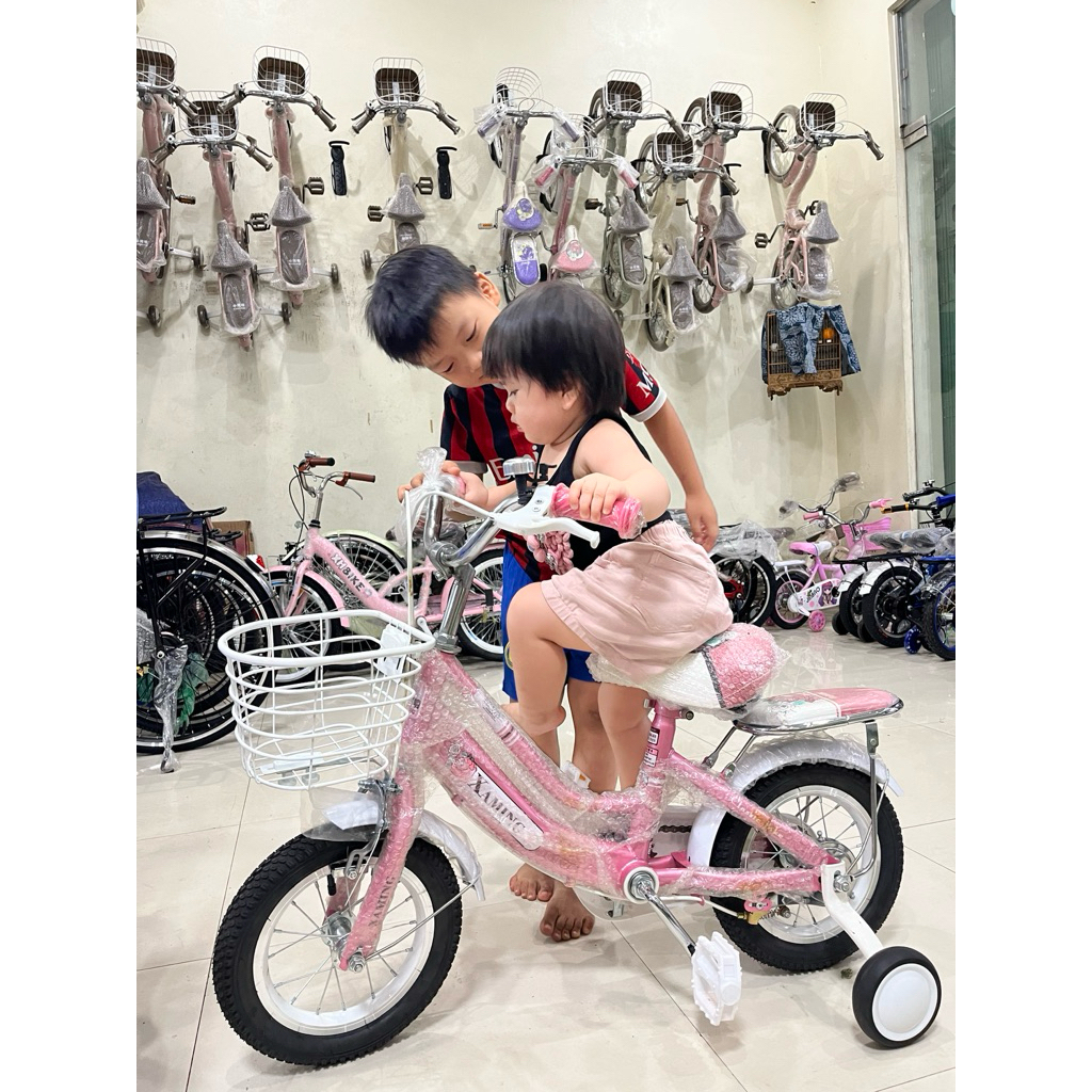 xe đạp xaming