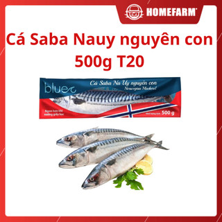 Cá Saba Nauy nguyên con 500g T20 - Homefarm