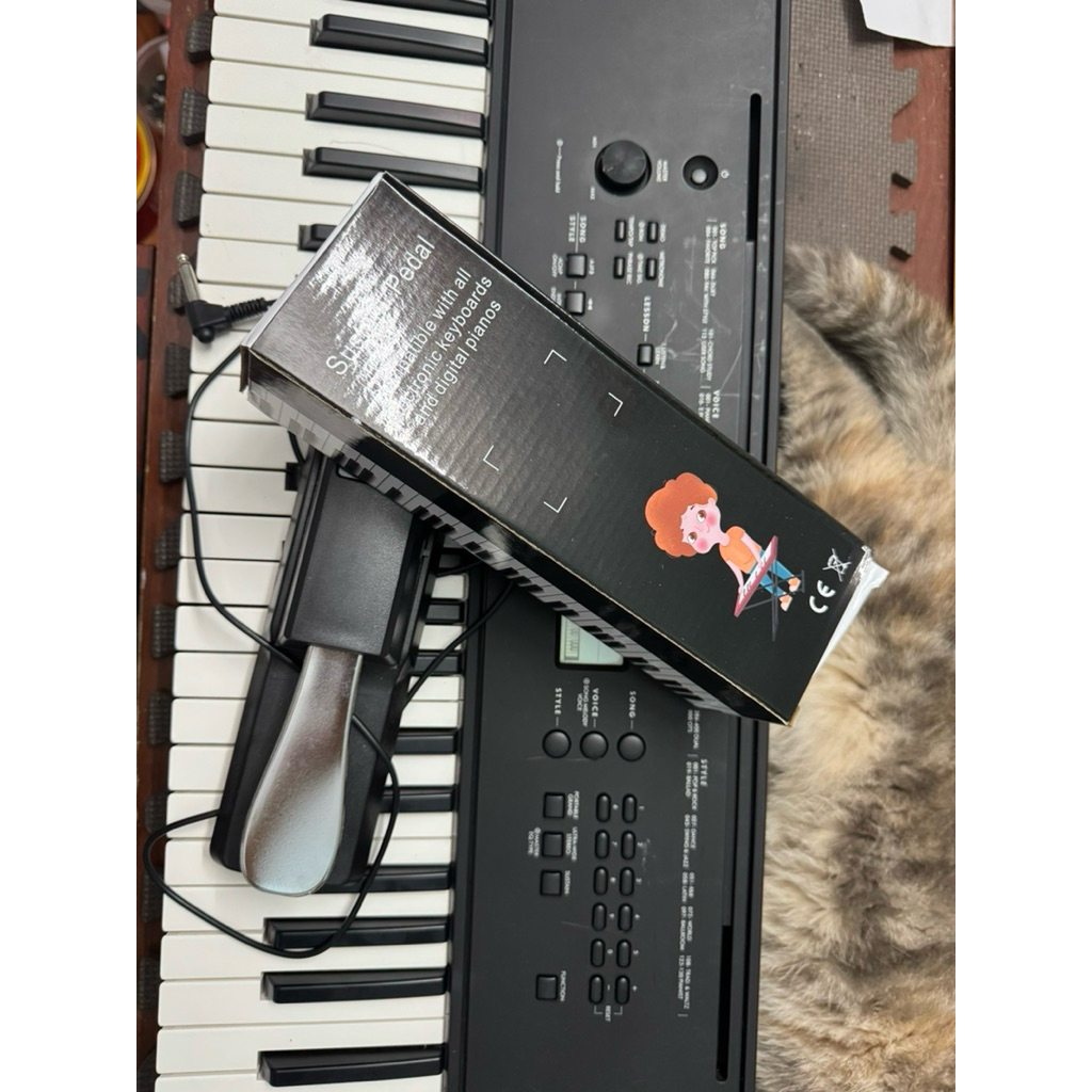 Pedal đàn organ piano