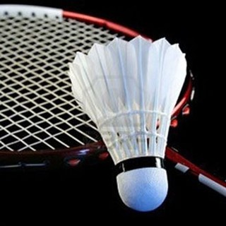 Váy Cầu Lông Yonex 668 Màu Đỏ Hồng