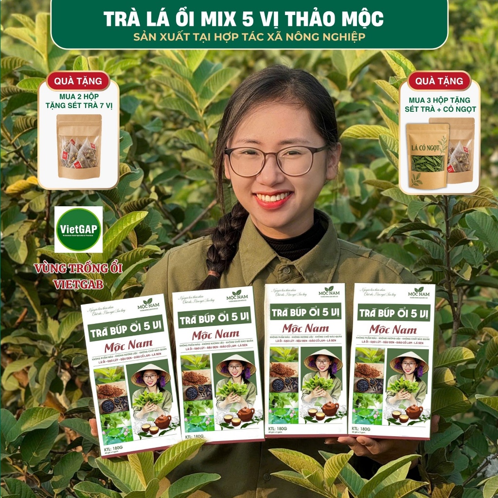 Trà lá ổi 5 vị thảo mộc Mộc Nam lá ổi kết hợp gạo lứt, đậu đen xanh lòng, giảo cổ lam, lá sen.Trà hợ