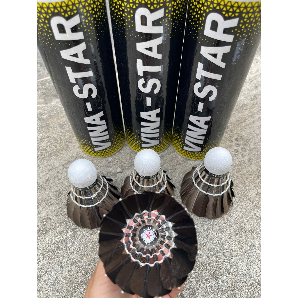 Ống cầu lông VINASTAR ĐEN 5 quả phân khúc cầu giá thấp