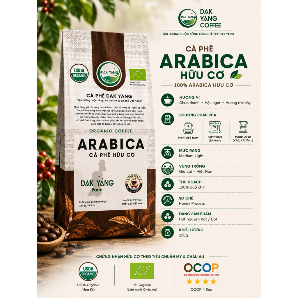 Cà Phê Đặc Sản Arabica  Hữu Cơ/ Cold Brew Dak Yang 250g/200g (hạt/bột) - OCOP 5 sao, pha hot brew và