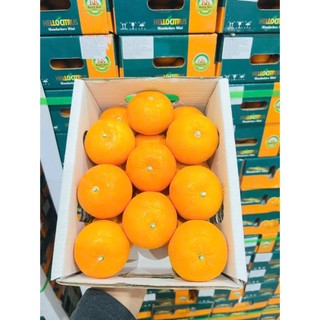 [ JENNY FRUIT ] THÙNG QUÝT TẤM MINI 2KG – NHỎ XINH, NGỌT MỌNG, ĂN LÀ GHIỀN