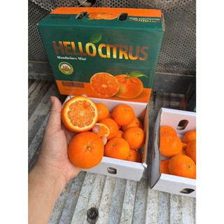 [ JENNY FRUIT ] THÙNG QUÝT TẤM MINI 2KG – NHỎ XINH, NGỌT MỌNG, ĂN LÀ GHIỀN