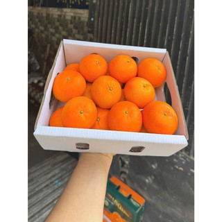 [ JENNY FRUIT ] THÙNG QUÝT TẤM MINI 2KG – NHỎ XINH, NGỌT MỌNG, ĂN LÀ GHIỀN