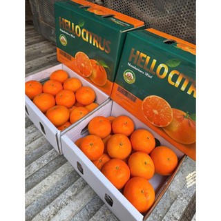 [ JENNY FRUIT ] THÙNG QUÝT TẤM MINI 2KG – NHỎ XINH, NGỌT MỌNG, ĂN LÀ GHIỀN