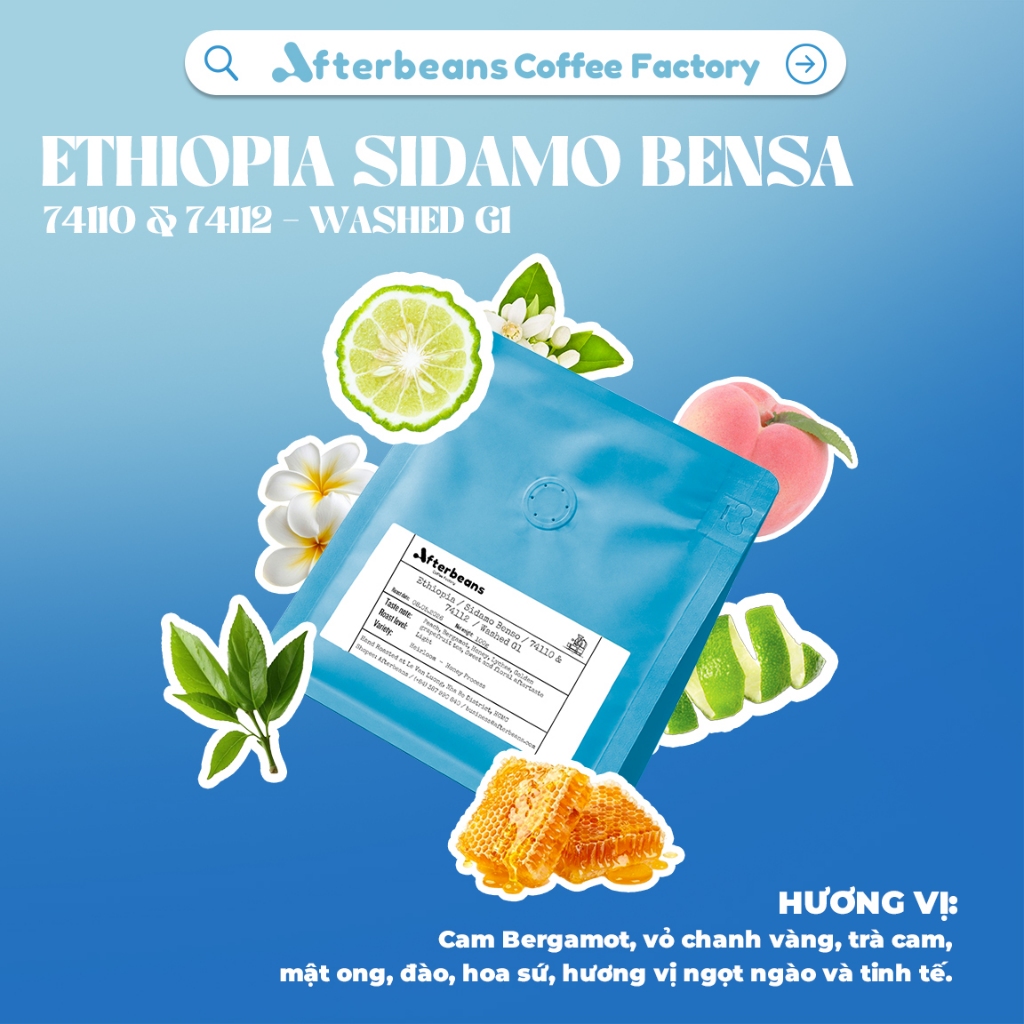 (LIMITED) ETHIOPIA Sidamo Bensa – Washed G1- Afterbeans Specialty Coffee – Bergamot orange, lemon pe