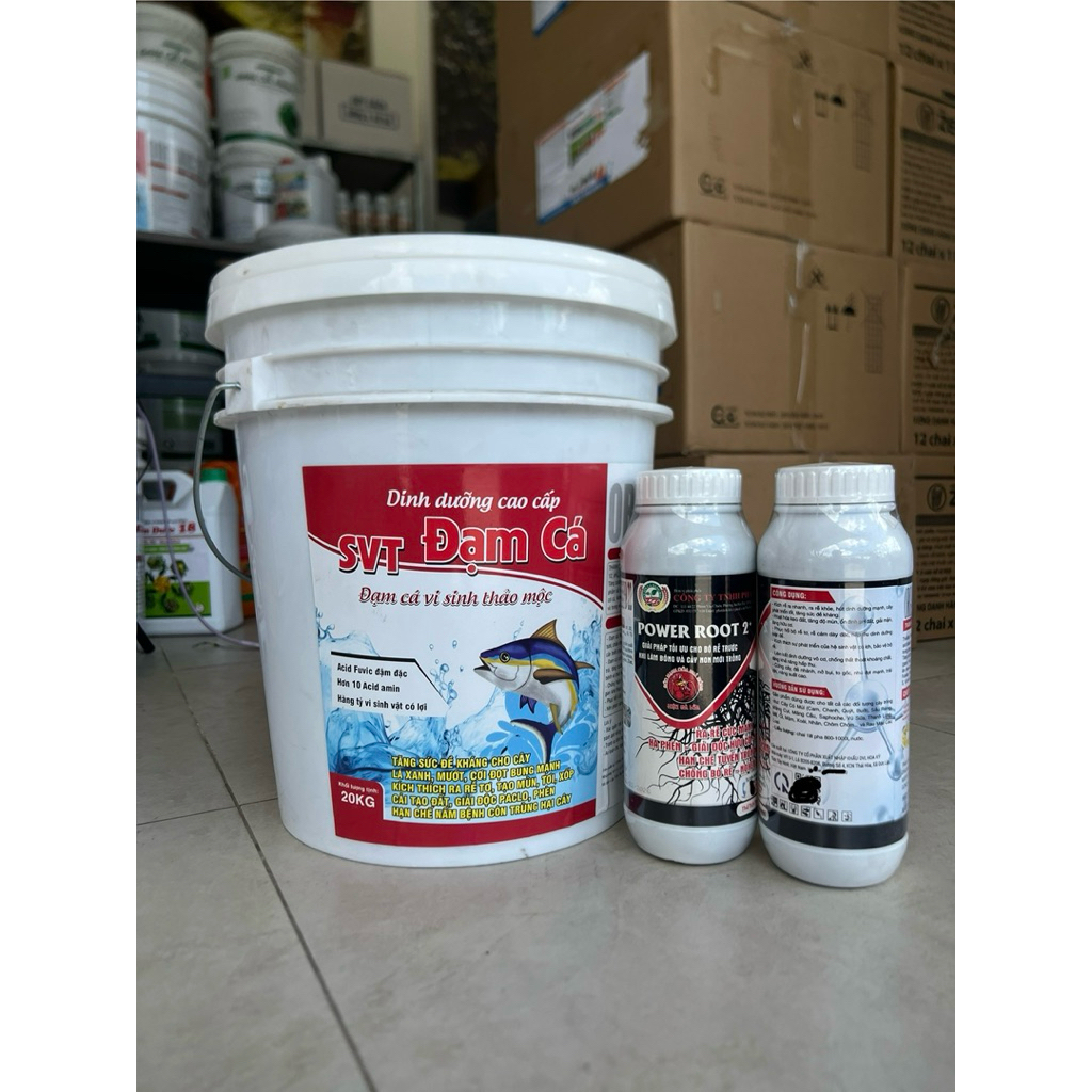 SVT Đạm Cá Đậm đặc chính hãng + 2 chai root 2 1lít