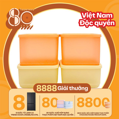 [Hỏa Tốc HCM] Bộ hộp đựng thực phẩm Tupperware trữ khô và mát nhiều dung tích và màu sắc