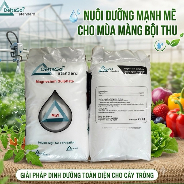 Bao 25kg Phân Bón Magnesium Sulphate  -MgSO4.7H2O) hạt to