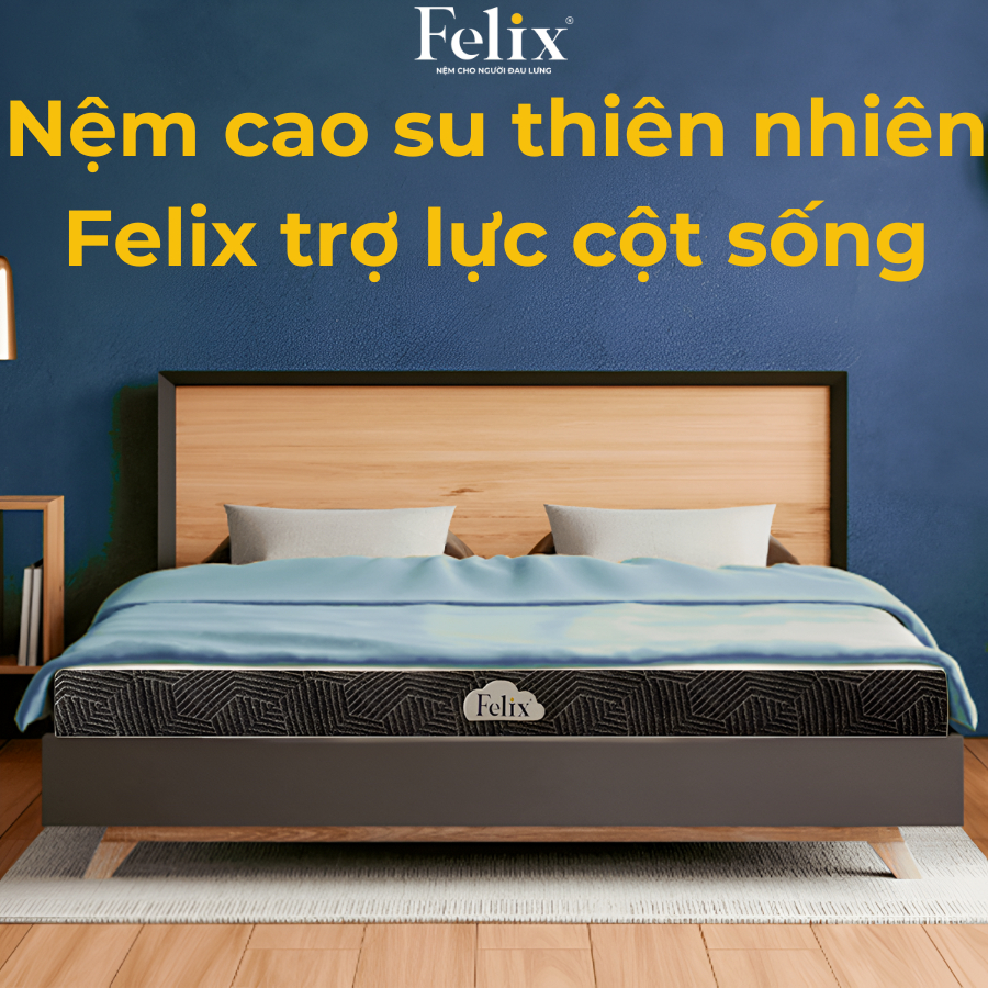 NỆM CAO SU FELIX SUPPORT – ĐỘ CỨNG TRỢ LỰC CẤP ĐỘ 2, CHẮC CHẮN HƠN, NÂNG ĐỠ TỐT HƠN