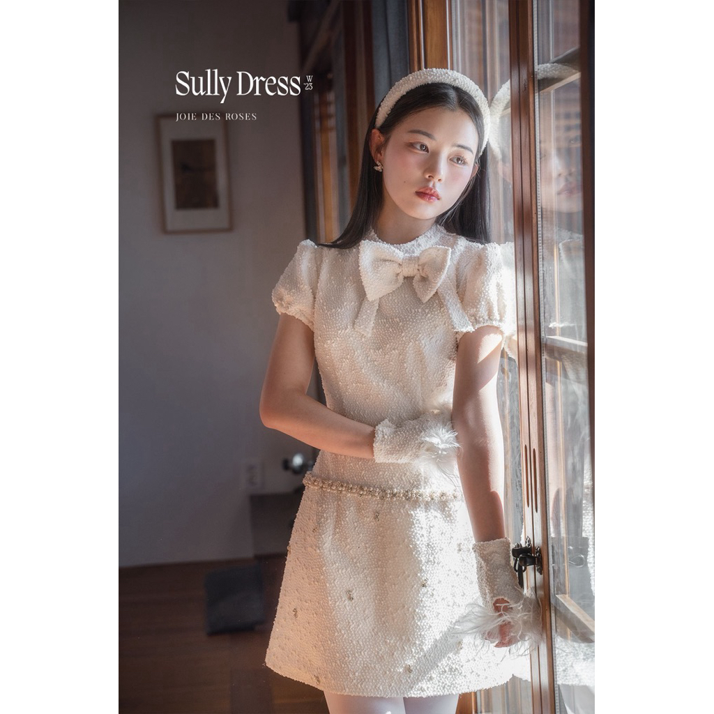 pass váy dạ tweed của Joie