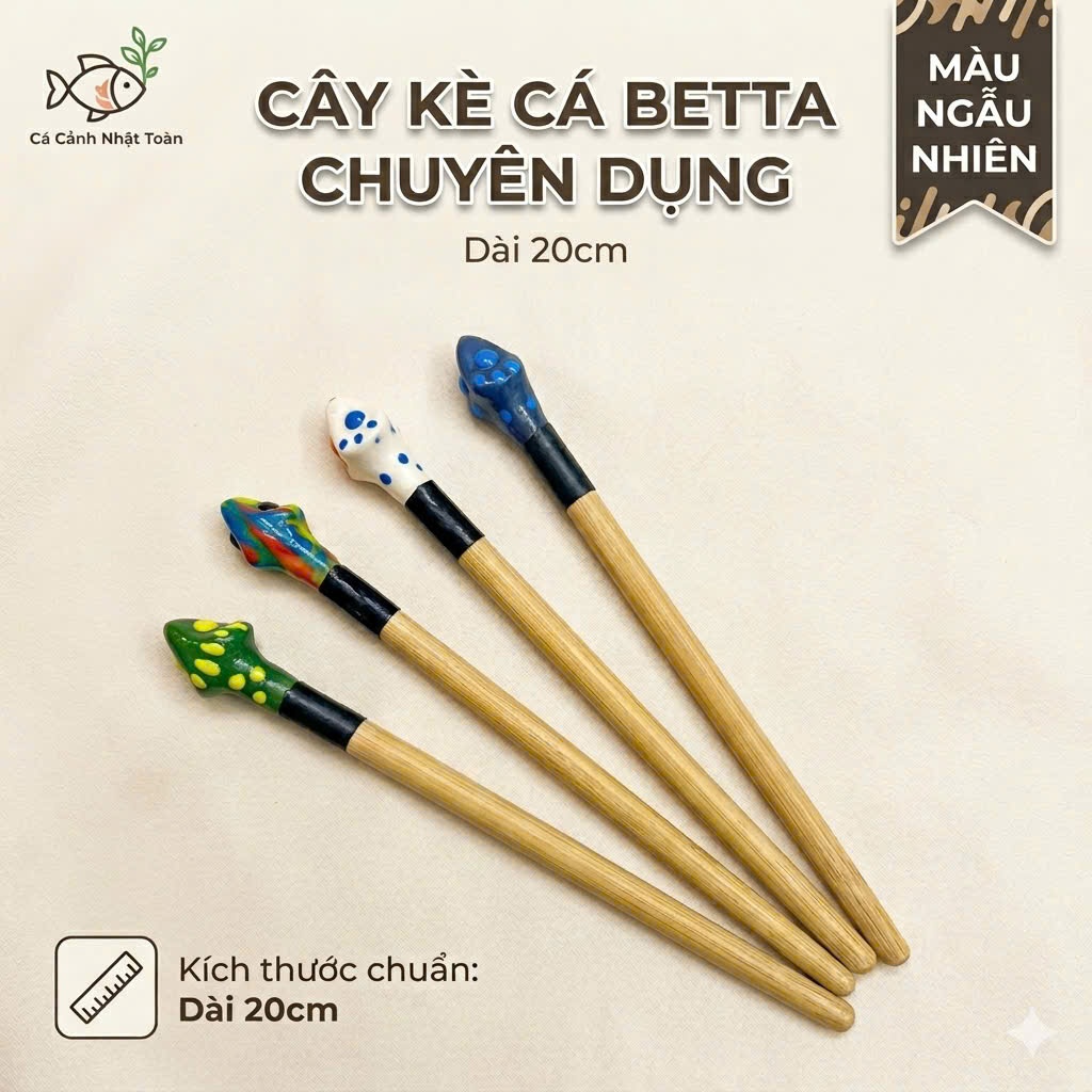 CÂY KÈ CÁ BETTA DÀI 20CM (MÀU NGẪU NHIÊN)