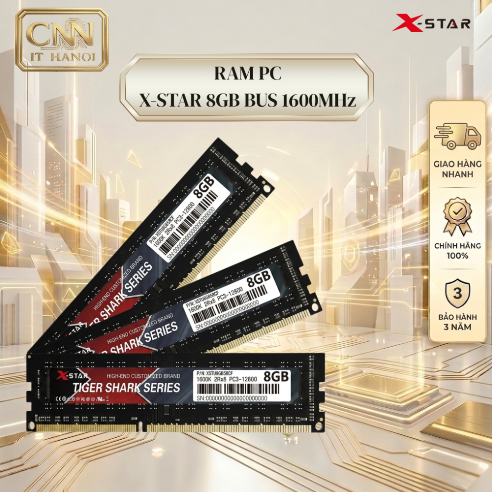 RAM PC DDR3 XSTAR 8GB 1600MHz – Hiệu Năng Ổn Định, Bảo Hành 36 Tháng