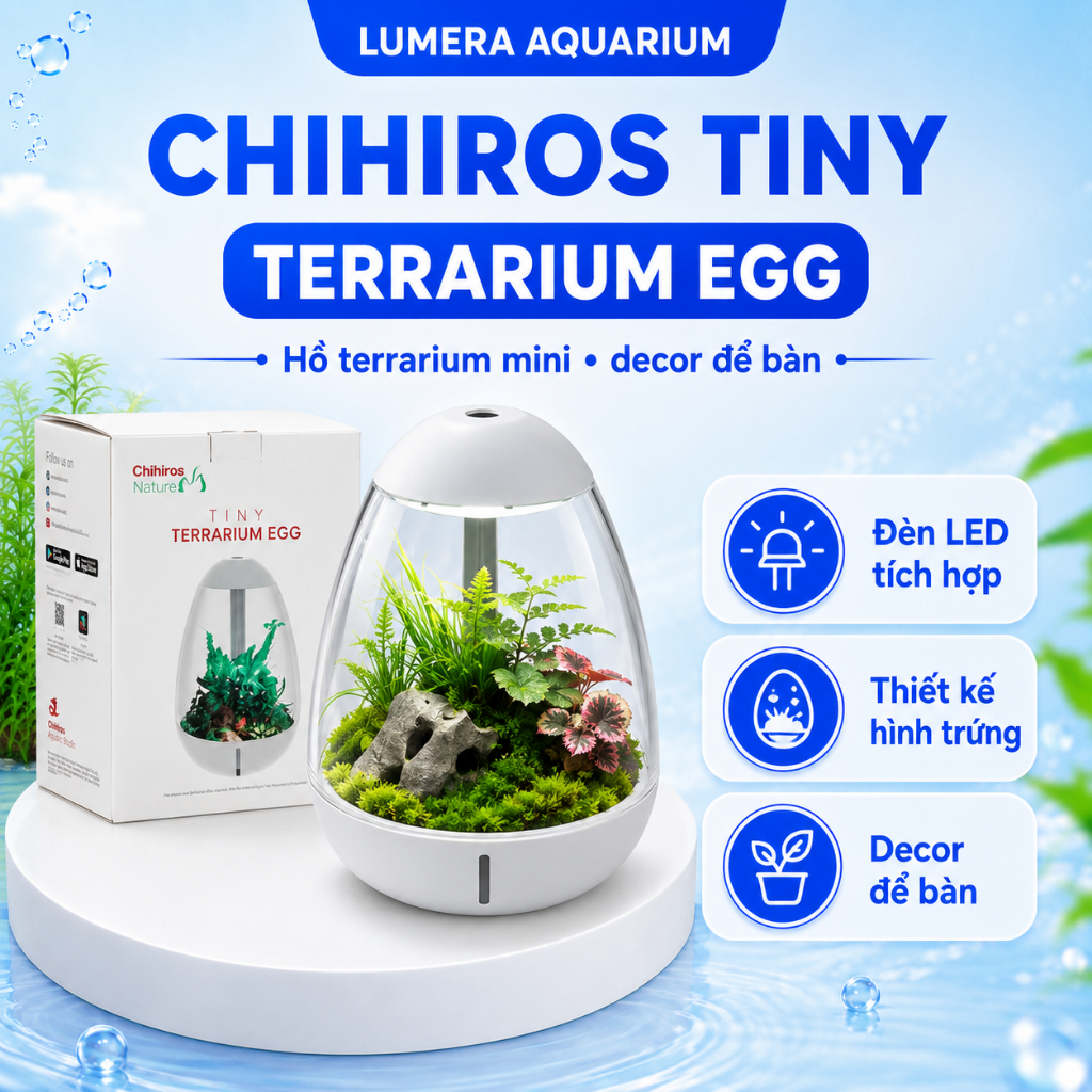 [Lumera Aquarium] Chihiros Tiny Terrarium Egg Hồ Terrarium Mini Để Bàn Cao Cấp