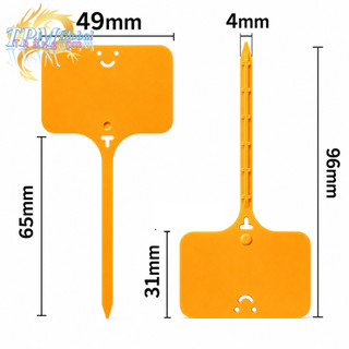 [Hàng Cty có xuất VAT]Thẻ treo cây KT:49x31mm