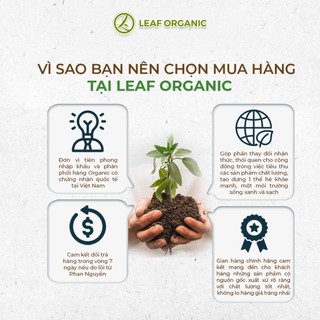 Dầu oliu hữu cơ ép lạnh Bragg 473ml