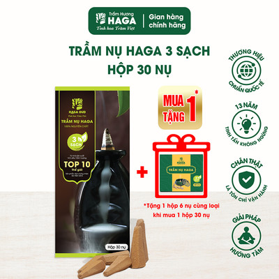 Nụ nhang trầm hương tự nhiên HAGA 3 sạch, thu hút tài lộc, xông nhà, thờ cúng,đốt bàn thờ, 30 nụ/25p