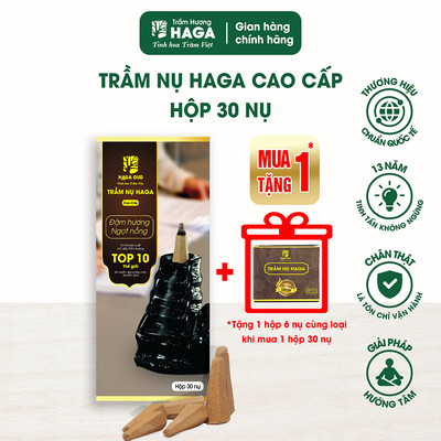 Nụ nhang trầm hương tự nhiên HAGA CAO CẤP, thu hút tài lộc, xông nhà tẩy uế, đốt bàn thờ, 30 nụ/30p