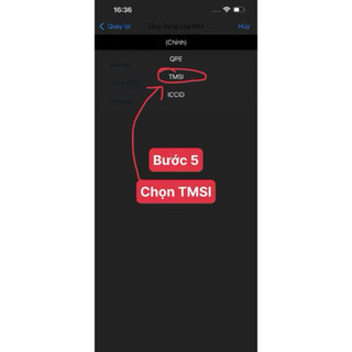 Sim ghép RS ghép TMSI cho iph lock