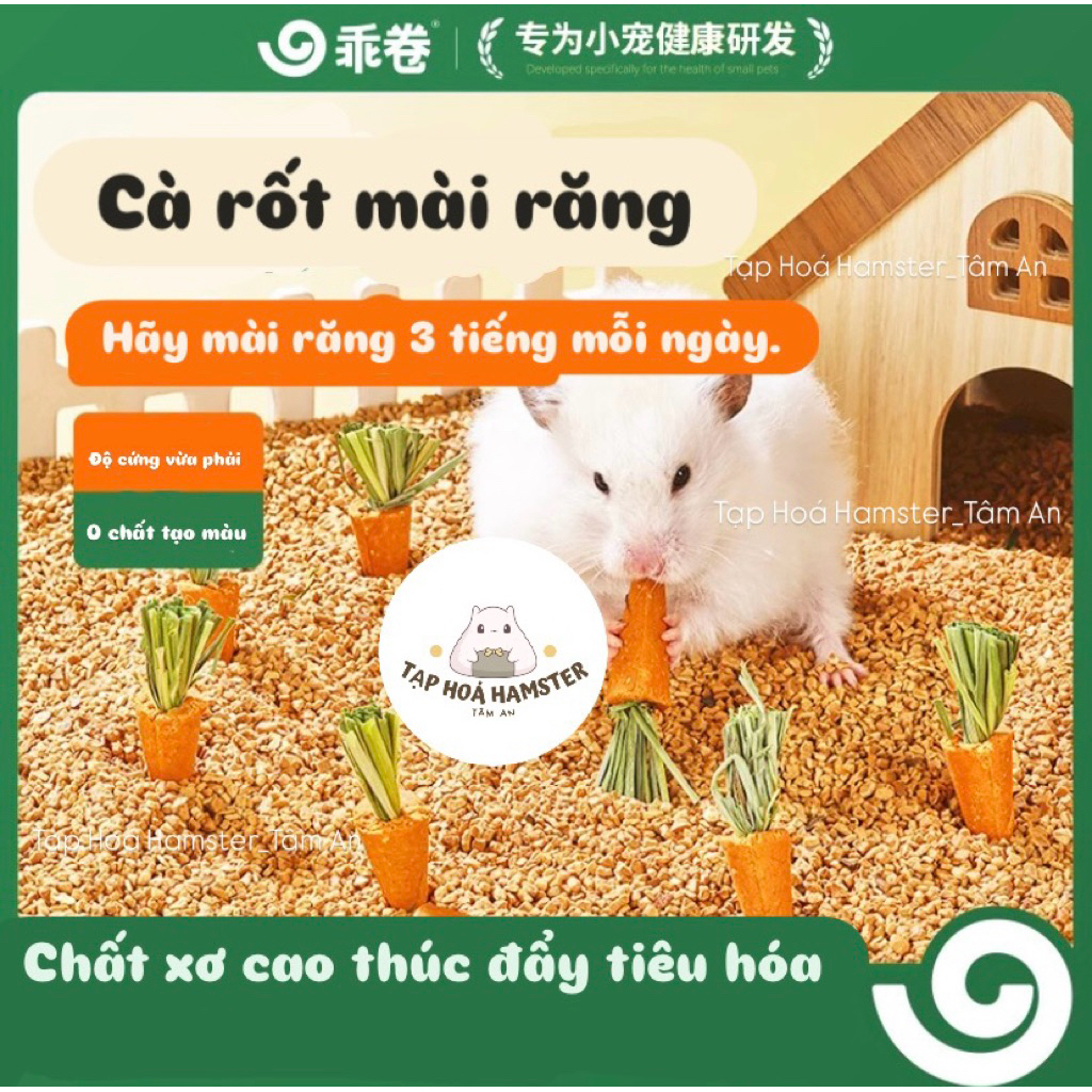 [GJO] Cà Rốt Mài Răng Cho Hamster & Thú Cưng Nhỏ.