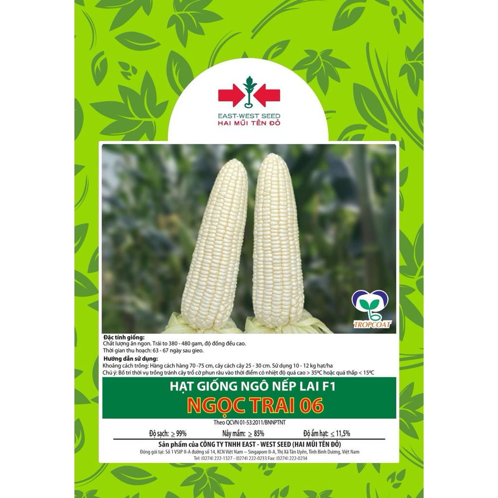 BẮP NẾP NGỌC TRA I 06 (2MT) - gói 500g